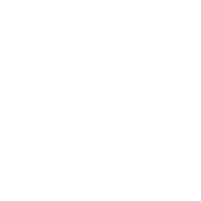 Fish Audio TTS