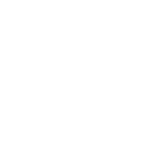 Vidu 2.0